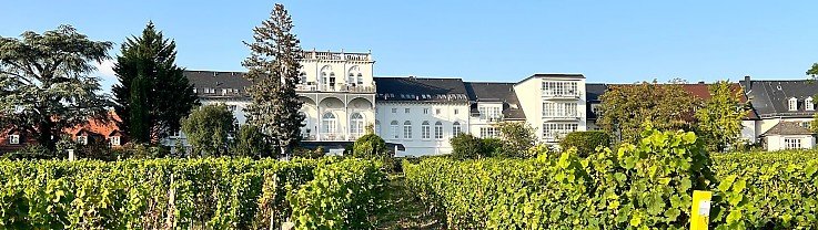 Immobilienmakler f�r Hochheim am Main: Weinberg