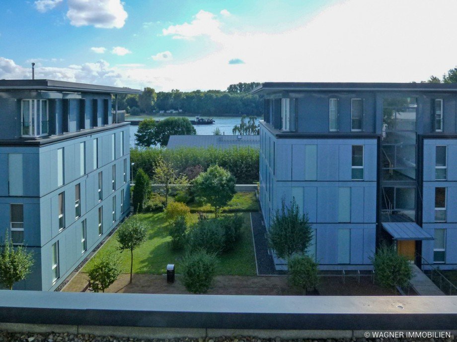 view to the river Rhine Penthousewohnung Wiesbaden