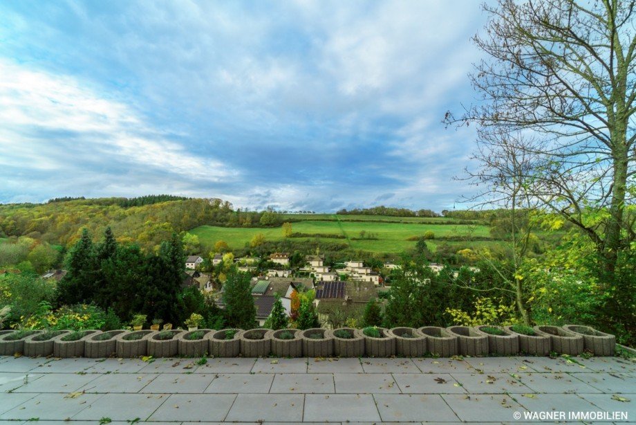 Natur-Panorama Reihenendhaus Bad Schwalbach