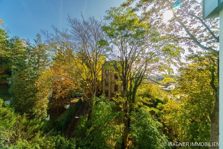 Ausblick Etagenwohnung Wiesbaden
